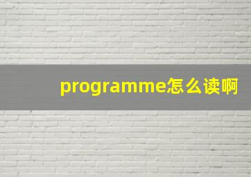 programme怎么读啊