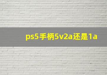 ps5手柄5v2a还是1a