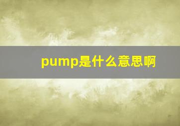 pump是什么意思啊