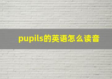 pupils的英语怎么读音