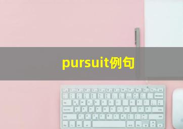 pursuit例句