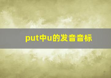 put中u的发音音标