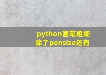 python画笔粗细除了pensize还有