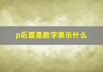 p后面是数字表示什么