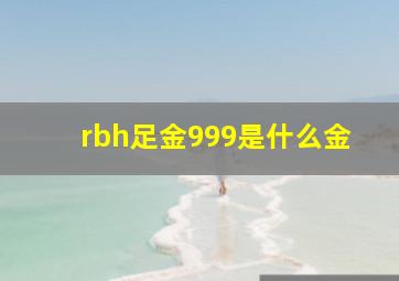 rbh足金999是什么金