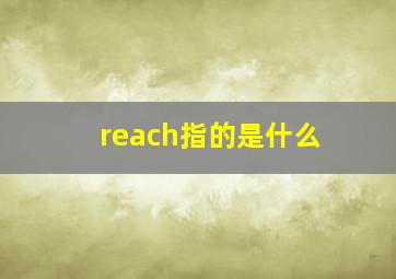 reach指的是什么