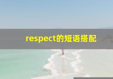 respect的短语搭配