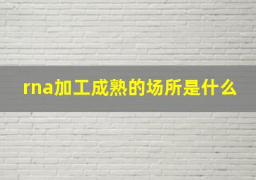 rna加工成熟的场所是什么