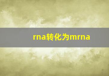 rna转化为mrna