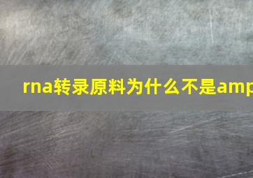 rna转录原料为什么不是amp