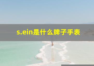 s.ein是什么牌子手表