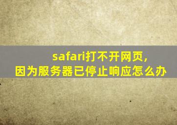 safari打不开网页,因为服务器已停止响应怎么办