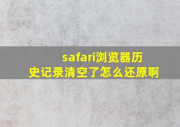 safari浏览器历史记录清空了怎么还原啊