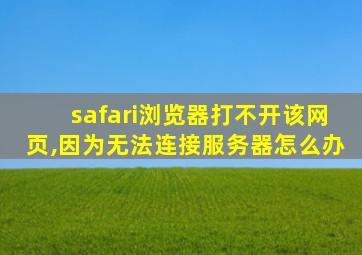 safari浏览器打不开该网页,因为无法连接服务器怎么办