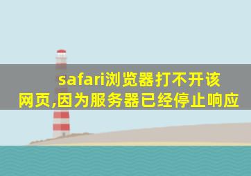 safari浏览器打不开该网页,因为服务器已经停止响应