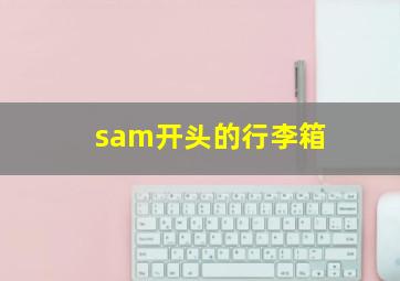 sam开头的行李箱