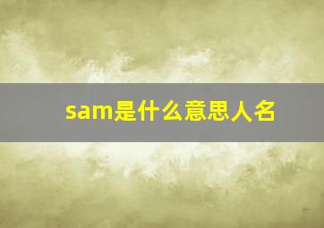 sam是什么意思人名