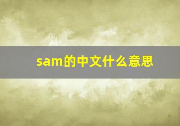 sam的中文什么意思