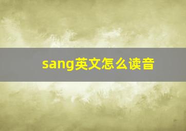 sang英文怎么读音