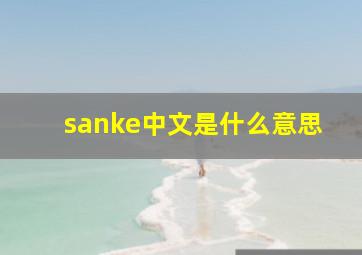 sanke中文是什么意思