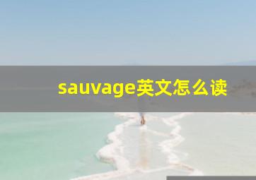 sauvage英文怎么读