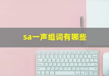 sa一声组词有哪些