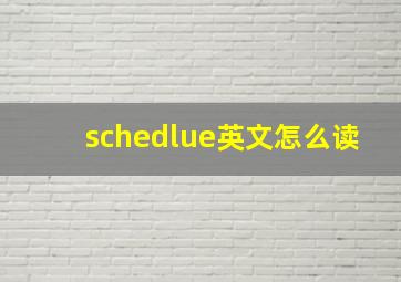 schedlue英文怎么读