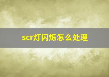 scr灯闪烁怎么处理