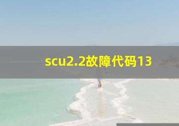 scu2.2故障代码13