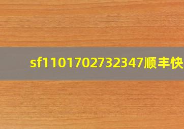 sf1101702732347顺丰快递