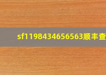 sf1198434656563顺丰查询