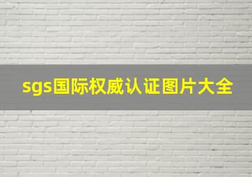 sgs国际权威认证图片大全