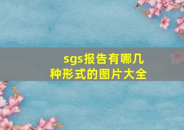 sgs报告有哪几种形式的图片大全