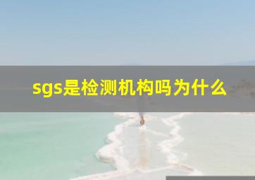 sgs是检测机构吗为什么