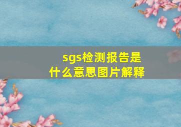 sgs检测报告是什么意思图片解释