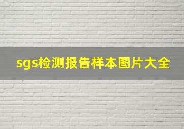 sgs检测报告样本图片大全