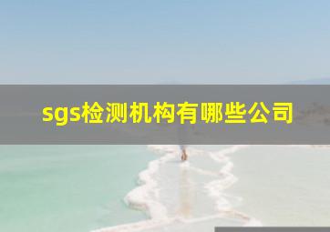 sgs检测机构有哪些公司