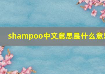 shampoo中文意思是什么意思