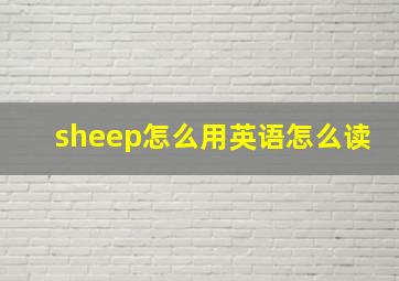 sheep怎么用英语怎么读