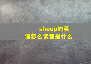 sheep的英语怎么读音是什么