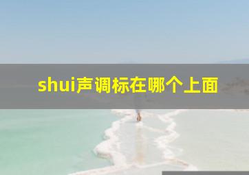 shui声调标在哪个上面