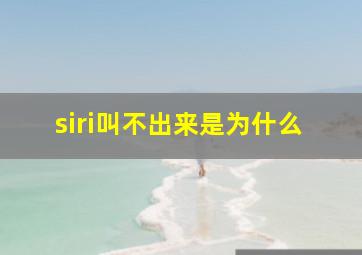 siri叫不出来是为什么