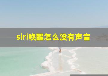 siri唤醒怎么没有声音