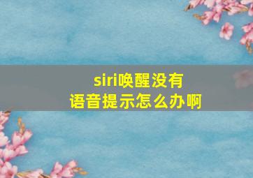 siri唤醒没有语音提示怎么办啊