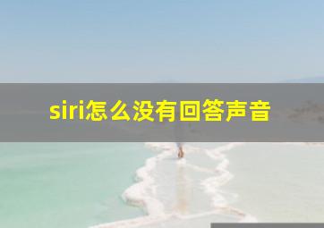 siri怎么没有回答声音