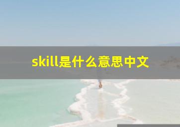 skill是什么意思中文