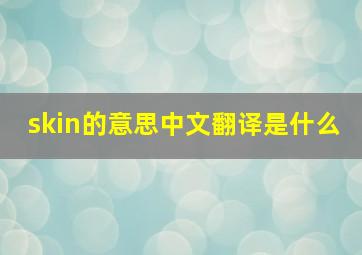 skin的意思中文翻译是什么