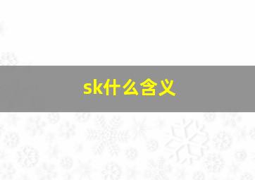 sk什么含义