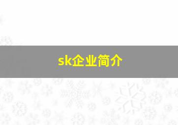 sk企业简介