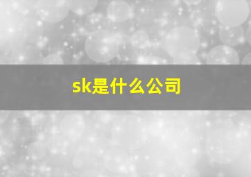 sk是什么公司